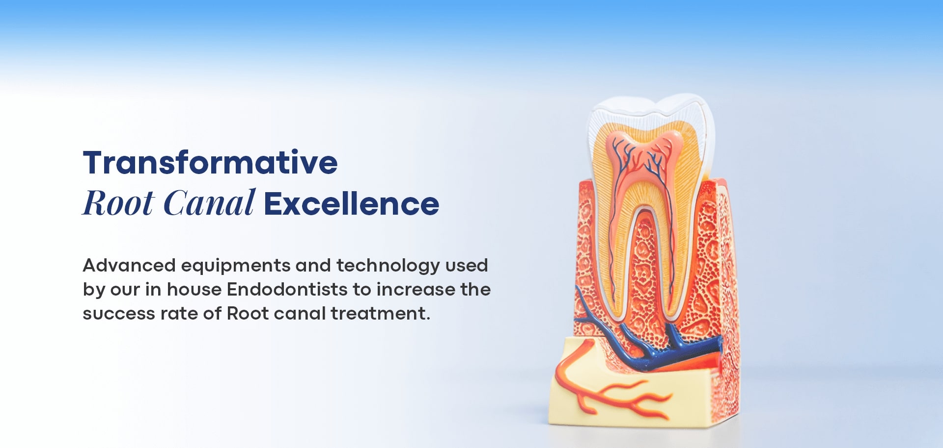 dental clinic root canal